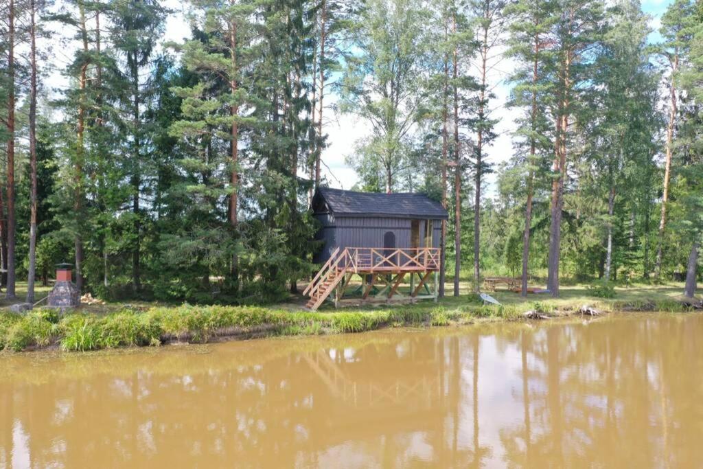 Holiday home Dragon House In The Tree! Jacuzzi, Sauna ,cinema,heated *