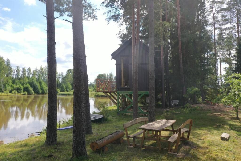 Dragon House In The Tree! Jacuzzi, Sauna ,cinema,heated Lici (Talsi)