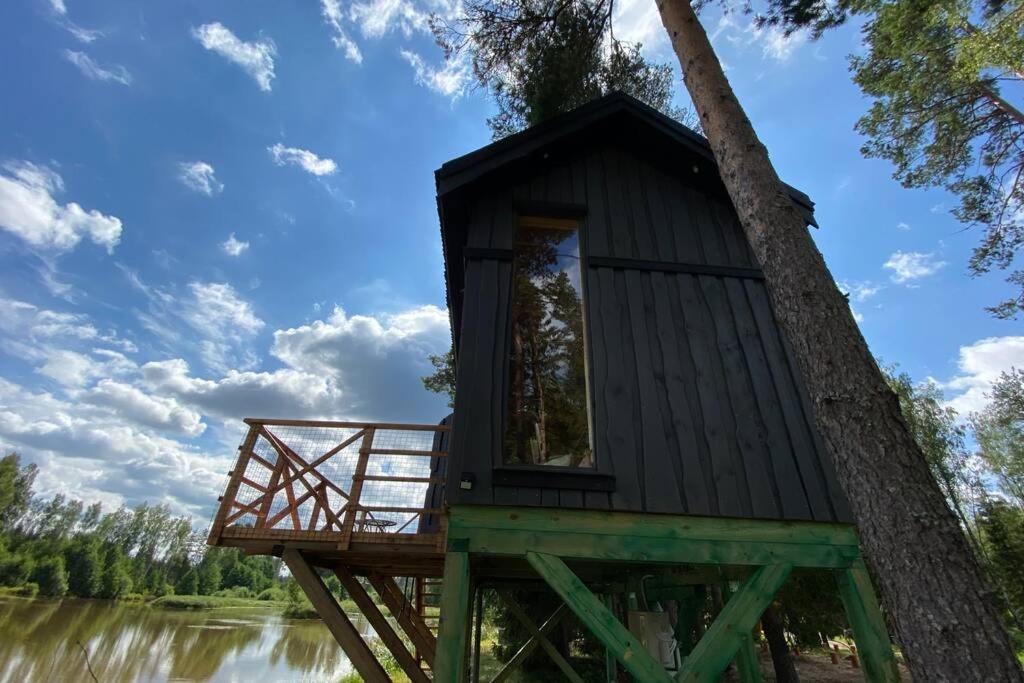 Dragon House In The Tree! Jacuzzi, Sauna ,cinema,heated * Lici (Talsi)