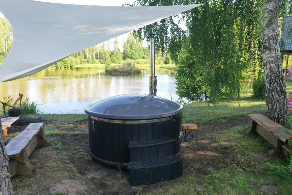 Holiday home Dragon House In The Tree! Jacuzzi, Sauna ,cinema,heated Lici (Talsi)