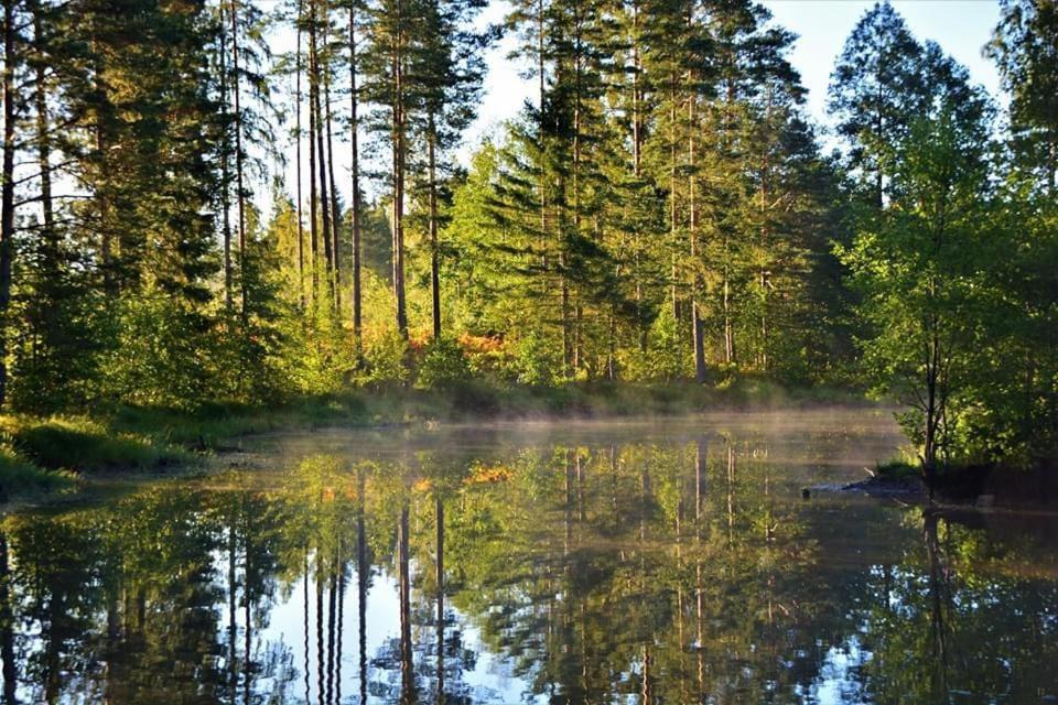 Dragon House In The Tree! Jacuzzi, Sauna ,cinema,heated Lici (Talsi)