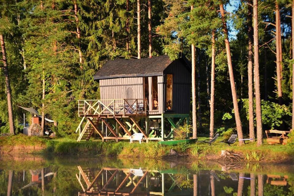 Holiday home Dragon House In The Tree! Jacuzzi, Sauna ,cinema,heated *