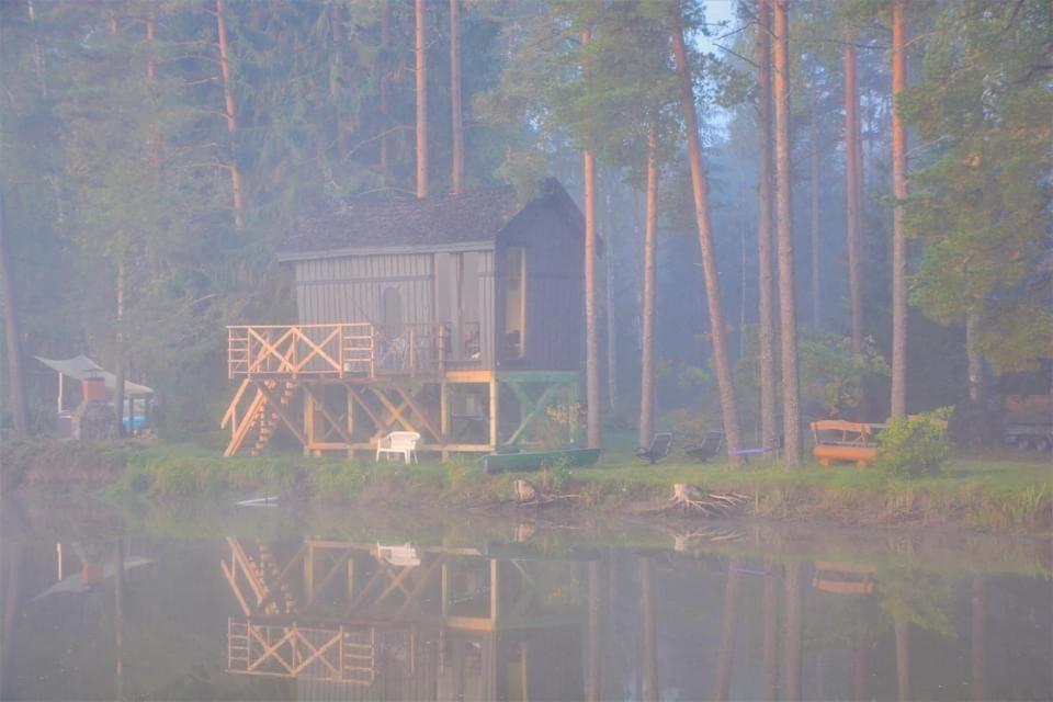 Dragon House In The Tree! Jacuzzi, Sauna ,cinema,heated Lici (Talsi)