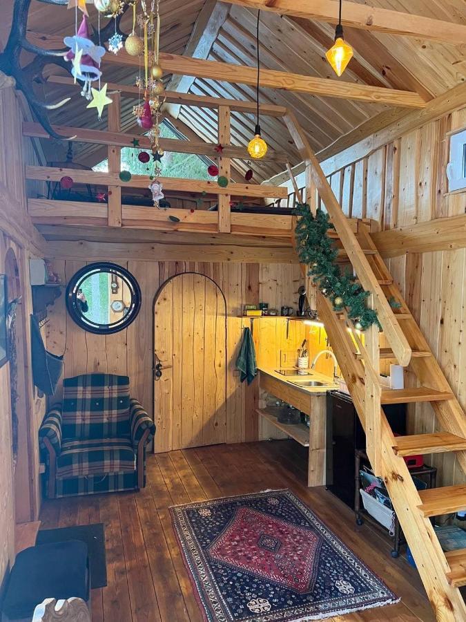 Dragon House In The Tree! Jacuzzi, Sauna ,cinema,heated Holiday home *