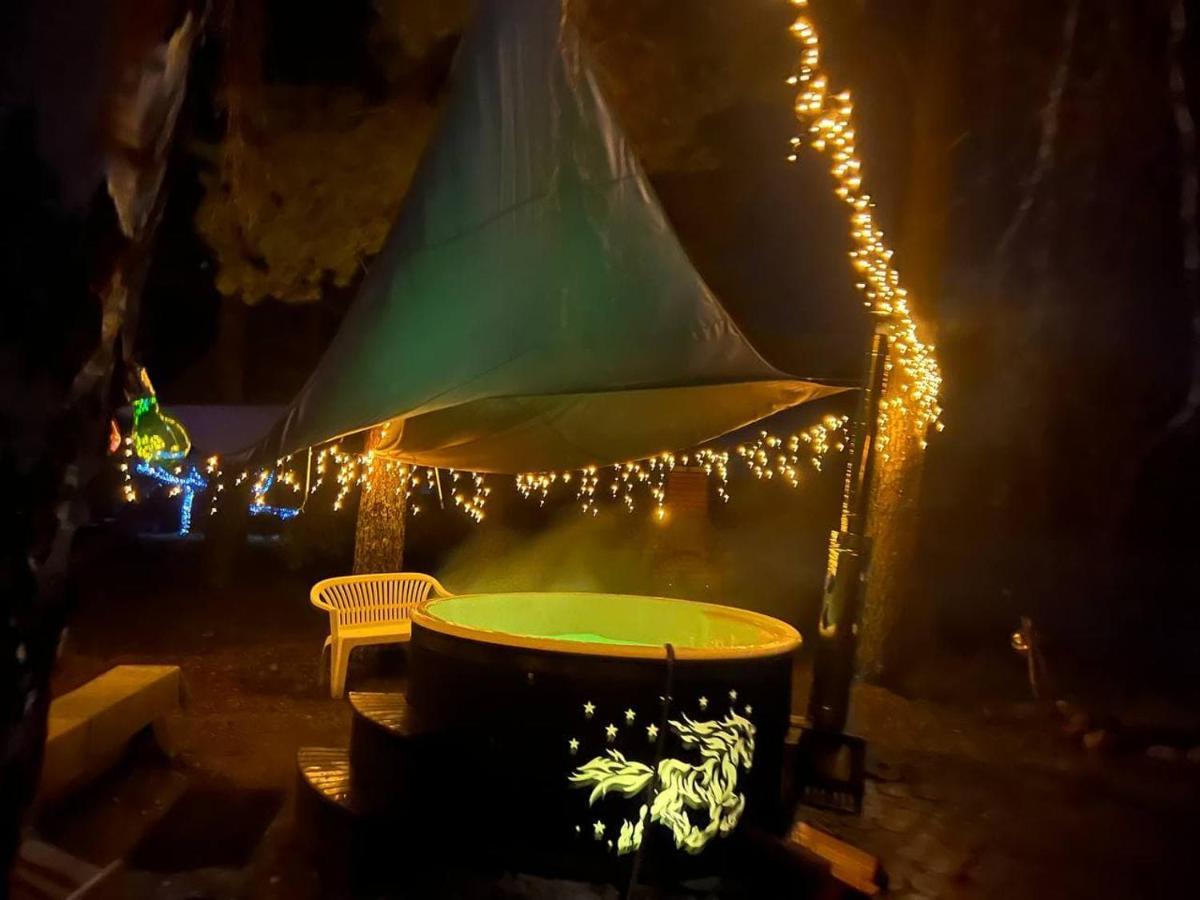 Dragon House In The Tree! Jacuzzi, Sauna ,cinema,heated Holiday home *