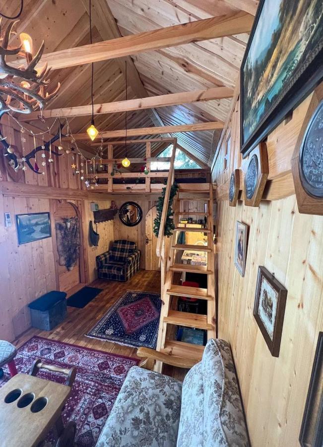 Dragon House In The Tree! Jacuzzi, Sauna ,cinema,heated Holiday home