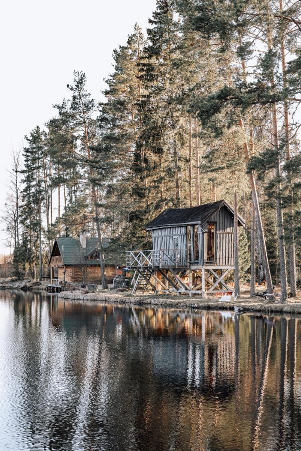 Dragon House In The Tree! Jacuzzi, Sauna ,cinema,heated Holiday home
