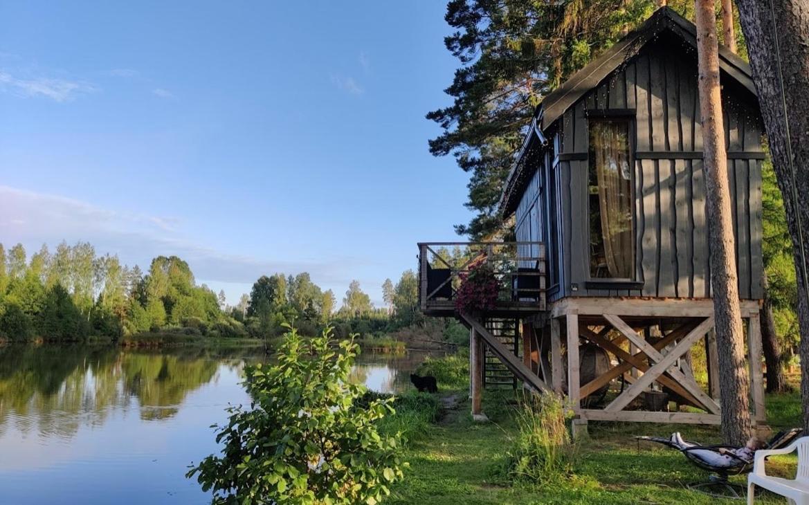 Dragon House In The Tree! Jacuzzi, Sauna ,cinema,heated * Lici (Talsi)